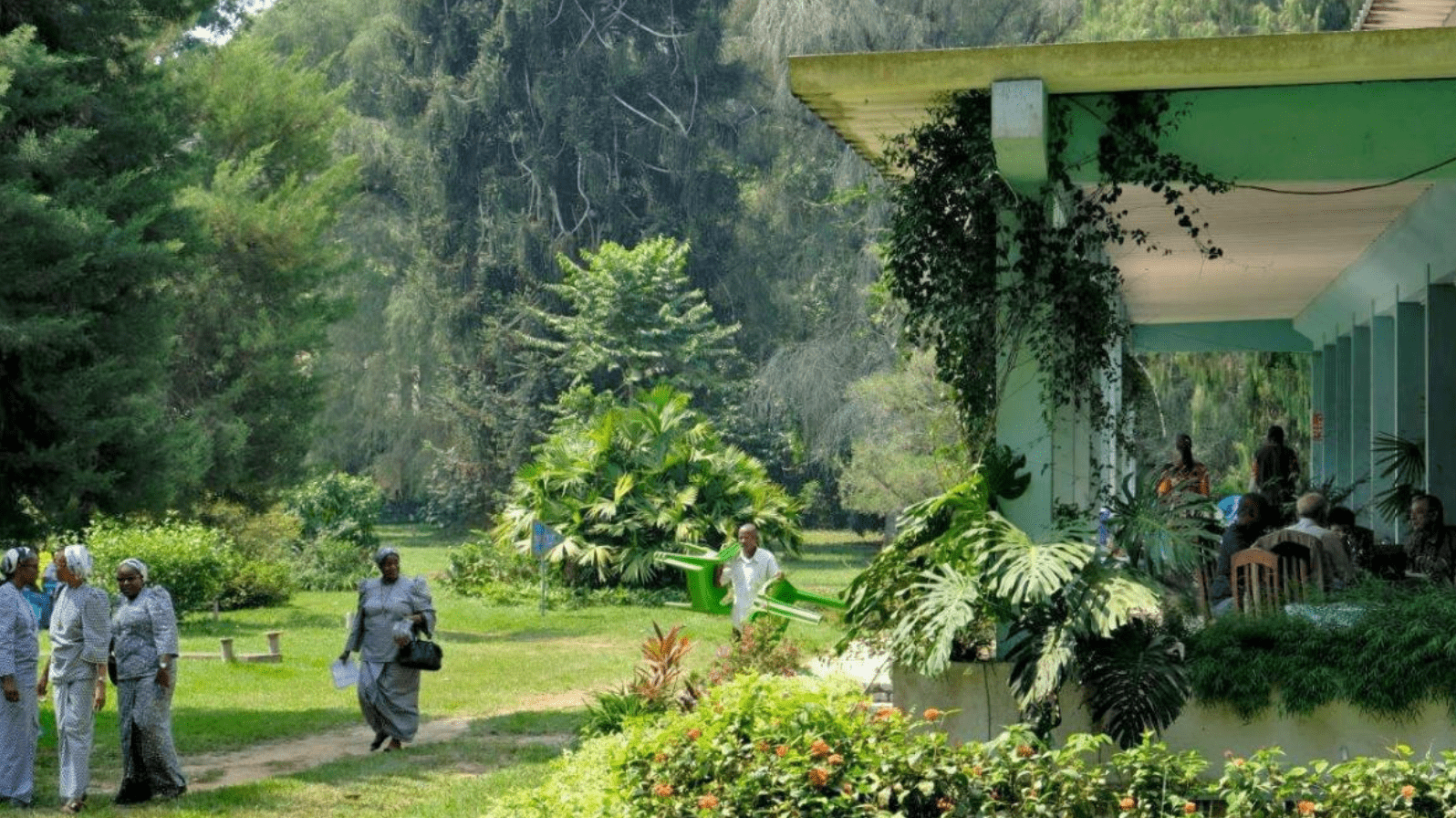 Jardin Botanique De Kisantu En Un Coup D Il E Journal Kinshasa