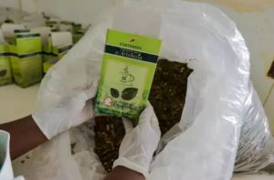 Le Madagascar au cœur de l'actualité grâce aux recherches d'un Congolais, le Dr Jérôme Munyanga 2