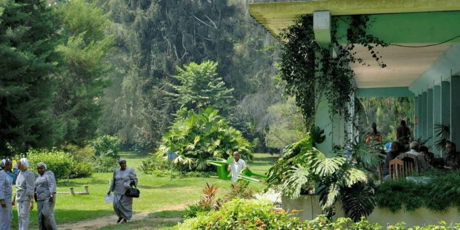 jardin-botanique-kisantu4