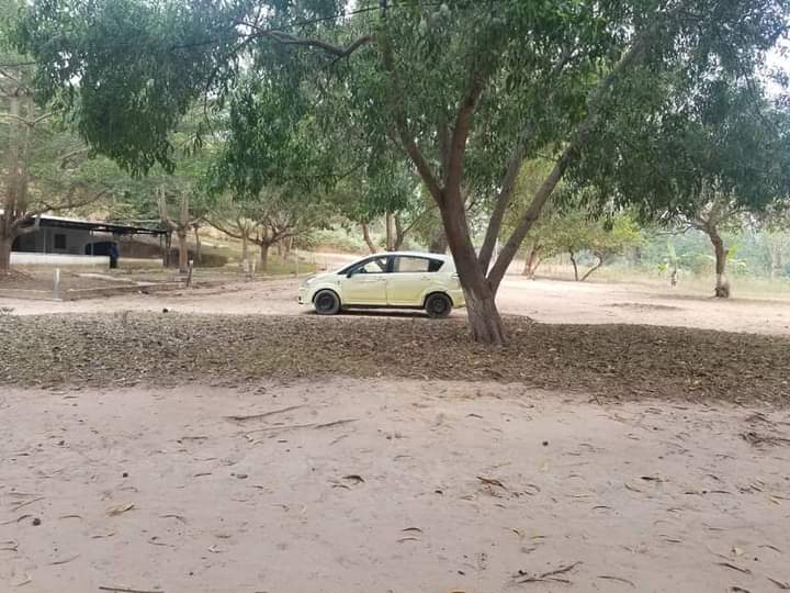Un dimanche chez Randy à Kasangulu : un coin enchanteur bien tranquille 3