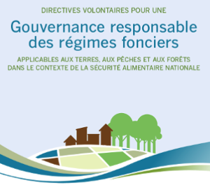 L'indispensable numérisation du cadastre. Voie royale au règlement des conflits 2