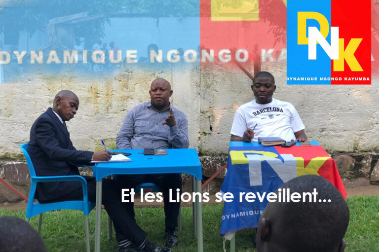 Affiche DNK E-Journal Kinshasa - Actualités, informations générales, divertissement et détente 144