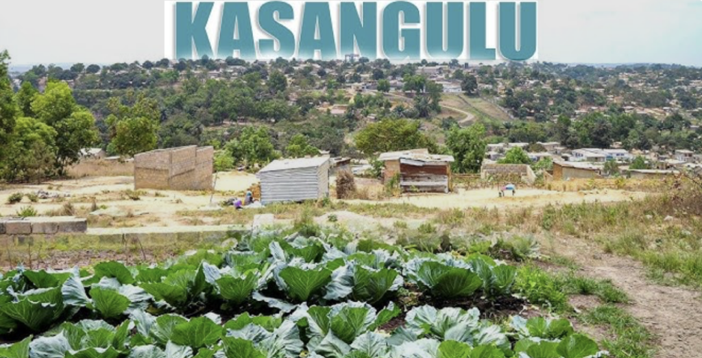 Kasangulu, un oasis de paix 1