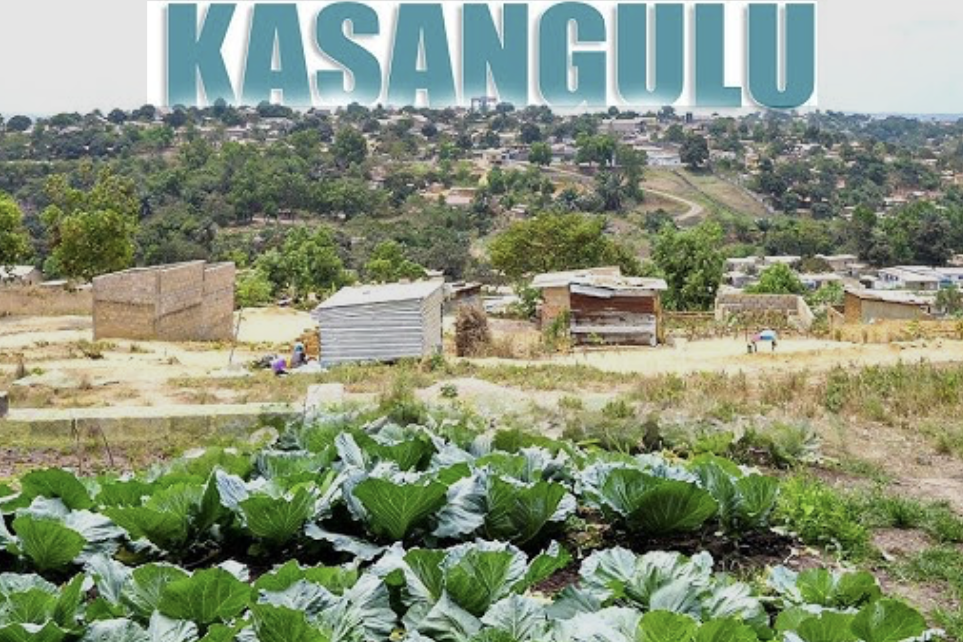 Capture d’écran 2026-04-12 à 19.13.10 E-Journal Kinshasa - Actualités, informations générales, divertissement et détente 4